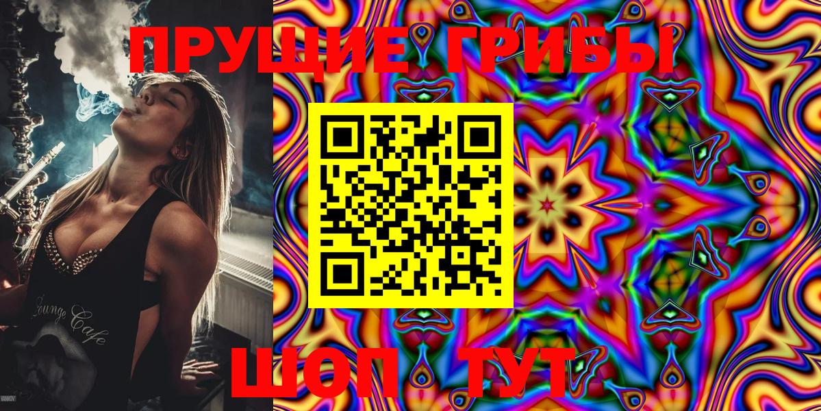 Галлюциногенные грибы Cubensis  Вход с VPN  Ртищево  Галлюциногенные грибы мицелий 