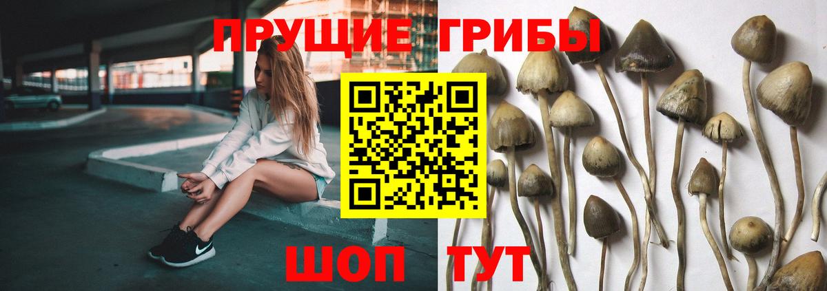 Псилоцибиновые грибы мухоморы Ртищево